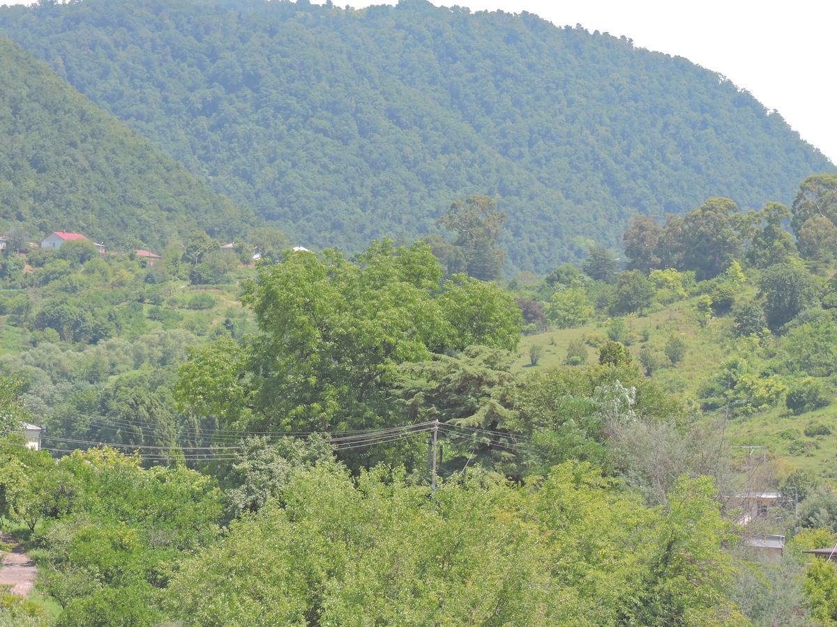 Guesthouse U Moti New Athos Exterior foto